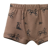 BOXER SHORTS | Little Cub Print-Web-hover