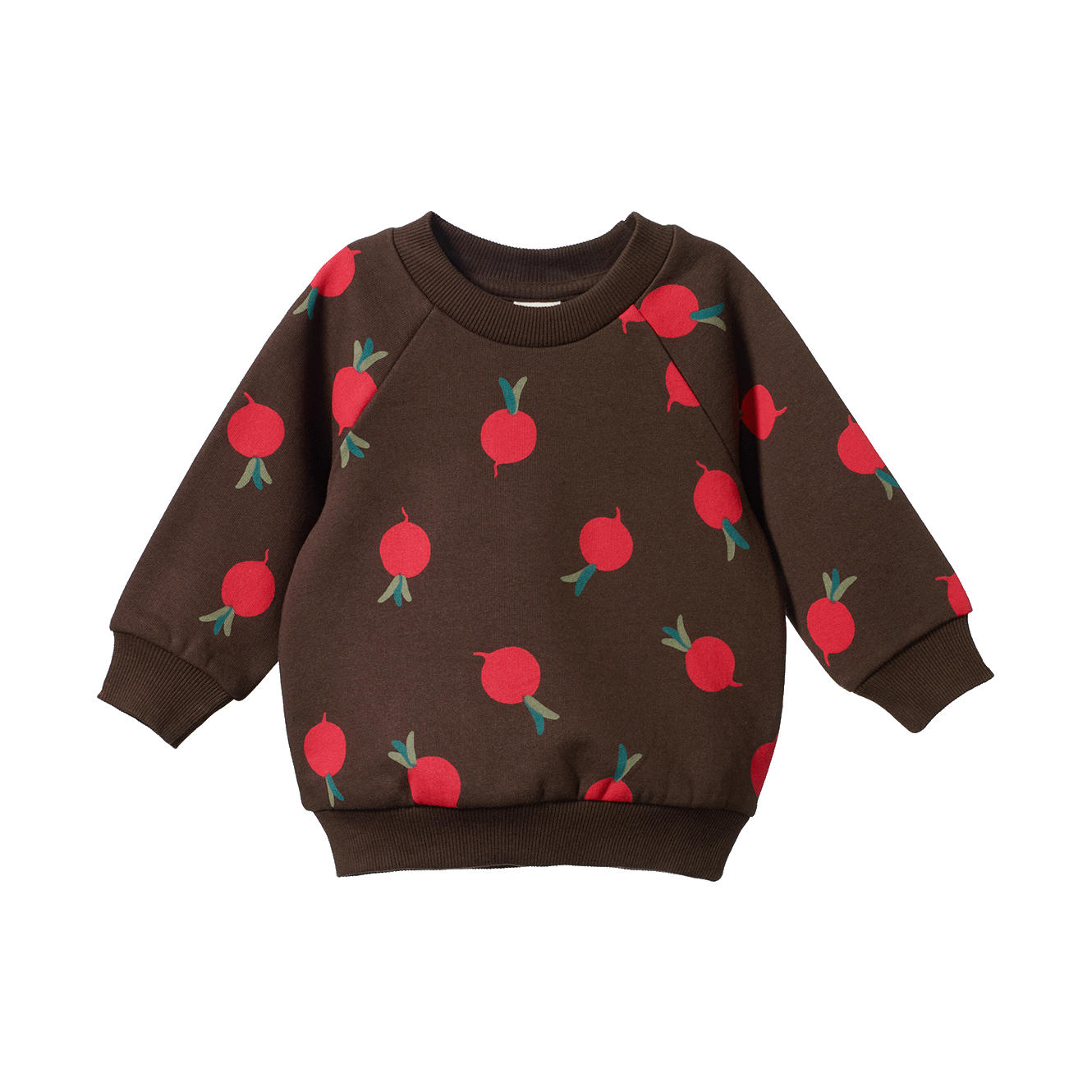 EMERSON SWEATER | Grande Radish Print-Web-front