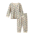 2Pc Long Sleeve Pyjamas - pj sets - Nature Baby