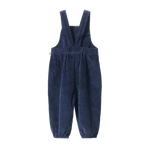 TIPPER OVERALLS | Navy-Web-hover