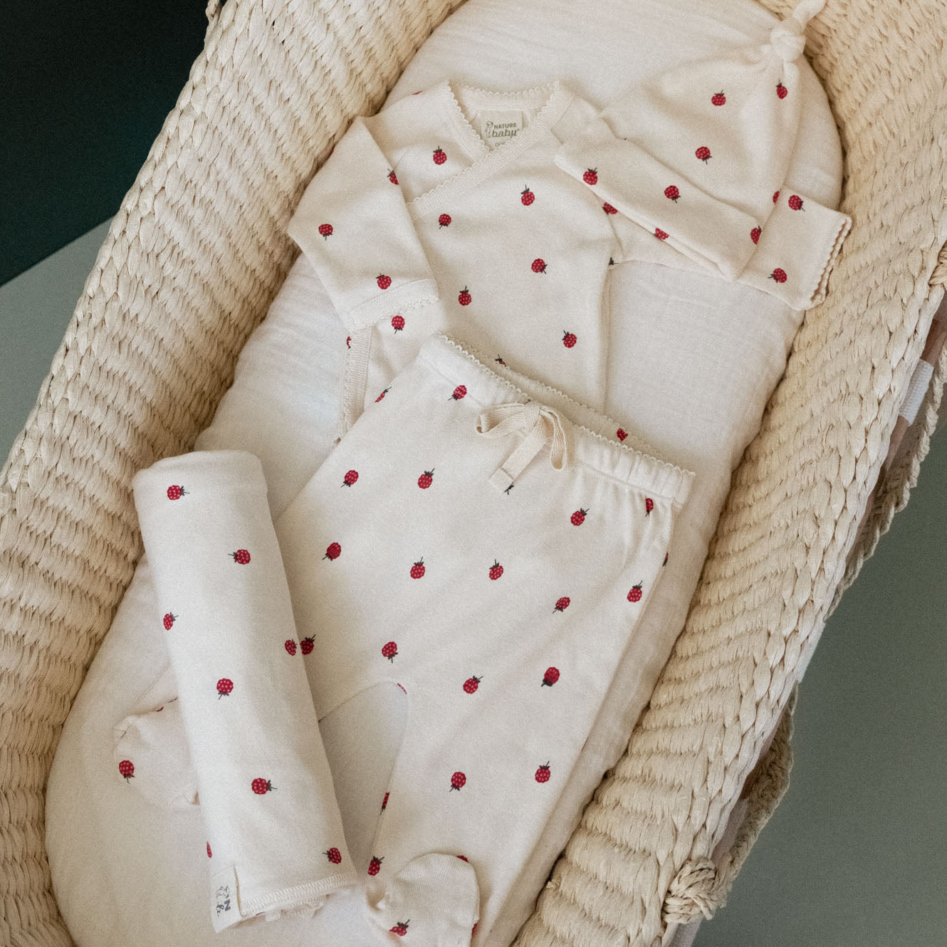 WELCOME HOME BUNDLE | Raspberry Print-Web-hover
